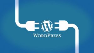 Wordpress developers