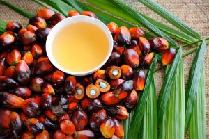 palm oil