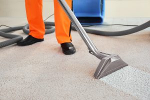 Carpet Steam Cleaning