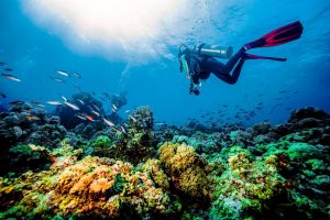 types of Diving