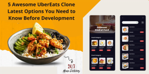 UberEats clone script app