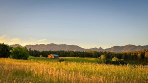 Rural Area in The USA