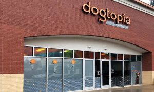 Storefront Graphics