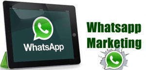 WhatsApp Bulk SMS