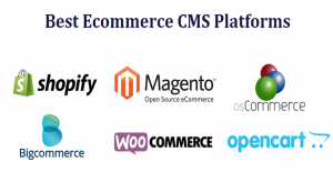 Ecommerce Platforms
