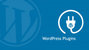 WordPress Plugins For Abandoned Cart