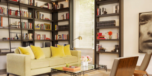 Cleaning and Decorating Bookshelves