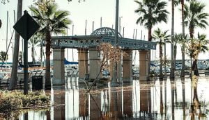 Hurricane Ian