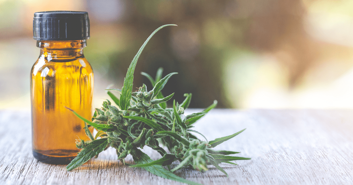 what is indica and sativa
