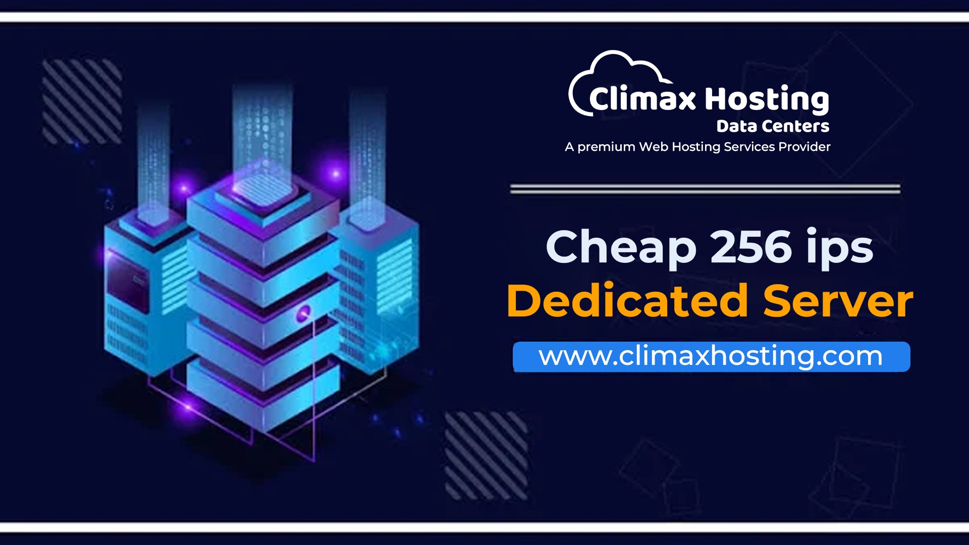 dedicated server with 256 ips