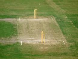 Velocity Cricket