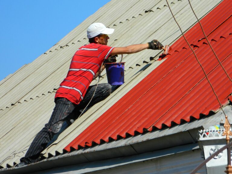 Roof Painting