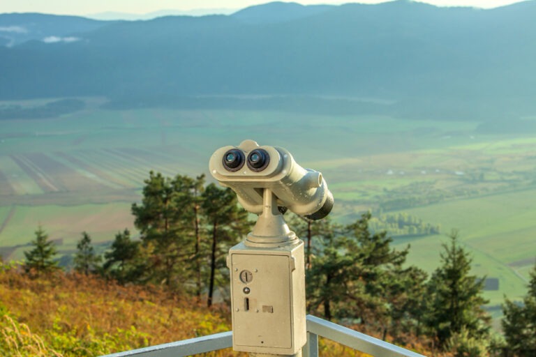 Safety Dave Cameras